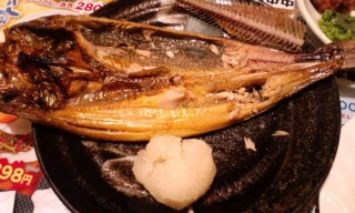 zbP̎c[EEEbI