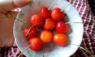 ڃE}E}(oLցMo)