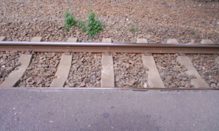 ς̉œB